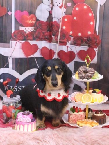 20250224おうたくん